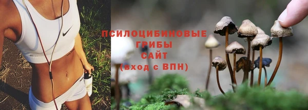 мяу мяу кристалл Белокуриха