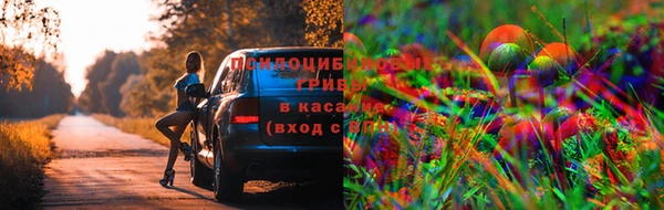 СК Богородск