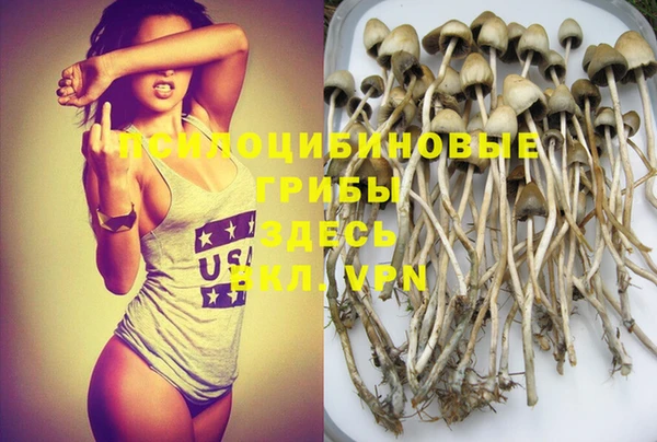экстази Новодвинск